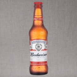 Cerveja Long Neck Budweiser 330 ml
