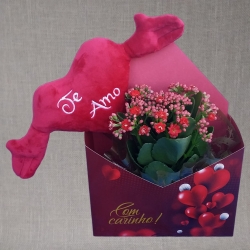 Presente Com Carinho